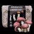 Organic Wine Cap Mushroom Sawdust Spawn